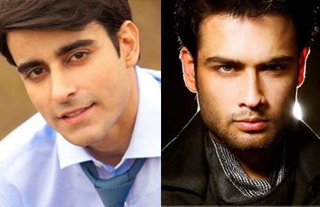 Gautam Rode and Vivian Dsena