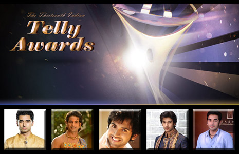 Best Fresh New Face (Male) at the 13th Indian Telly Awards