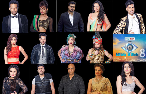 Bigg Boss 8: Who is your favourite contestant?