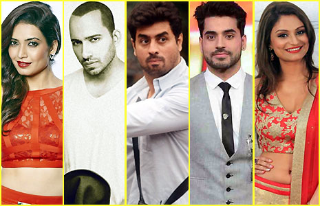 Who will win Bigg Boss season 8?