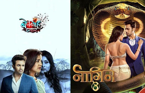 Pearl V Puri in Bepannah Pyaar or Naagin 3? 