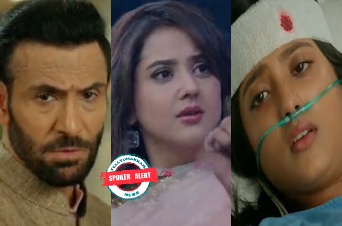 Spoiler Alert! Banni Chow Home Delivery: Banni has a plan to get Hemant’s confession, asks Tulika for support