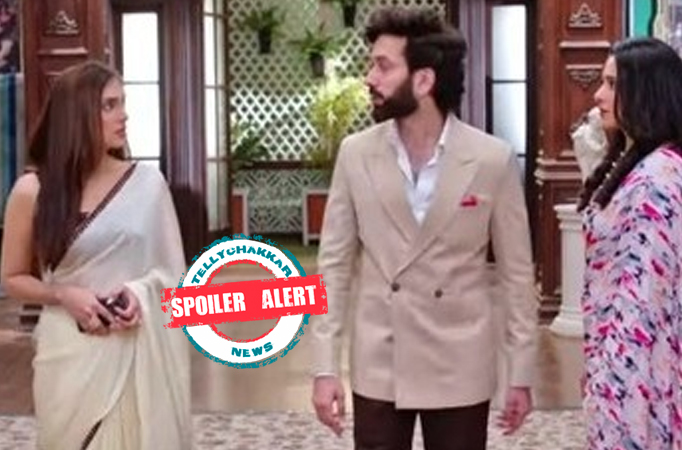 Spoiler Alert! Bade Achhe Lagte Hai 2: Ram asks Nandini to dismiss Vedika's proposal for marriage 