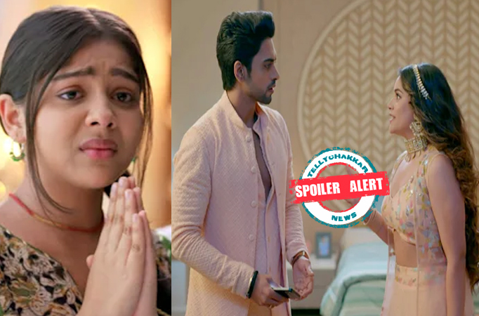 Spoiler Alert! Faltu: Faltu apologises to everyone; gets Ayaan and Tanisha engaged 