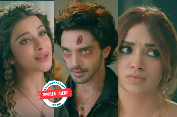 Spoiler Alert! Pishachini: Rocky and Rani are suspicious, Pavitra to reveal their plan?