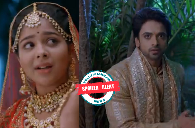 Spoiler Alert! Faltu: Ayaan’s life in danger, Faltu has to make a choice