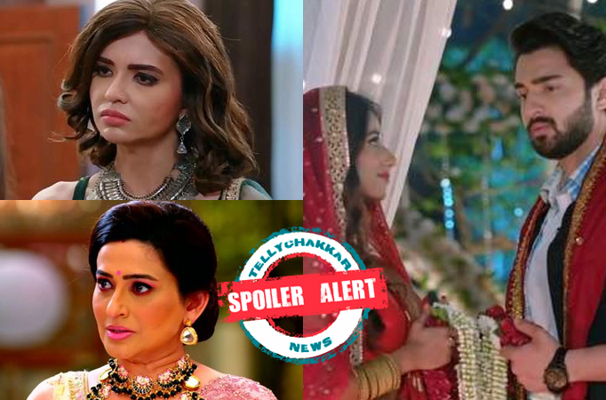 Spoiler Alert! Bhagya Lakshmi: Karishma and Neelam plan to get Malishka and Rishi married 