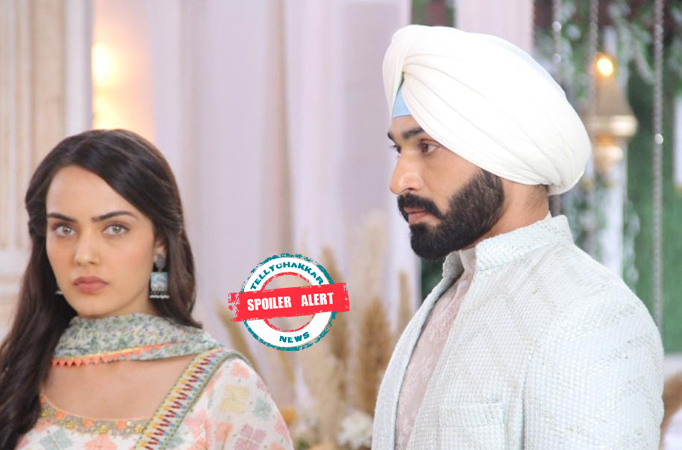 Spoiler Alert! Teri Meri Doriyaann: Seerat couldn’t arrange for the passes, the responsibility falls on Sahiba