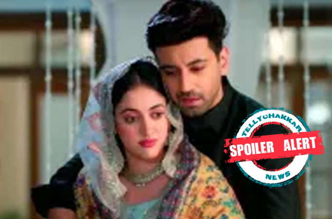 Spoiler Alert! Rabb Se Hai Dua: Haider shows his romantic side; Dua blushes 