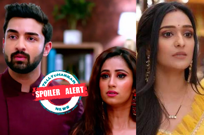 Spoiler Alert! Bhagya Lakshmi: Rishi is not over Lakshmi, Malishka loses hope?