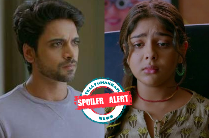 Spoiler Alert! Faltu: Ayaan and Faltu's secret marriage gets exposed 