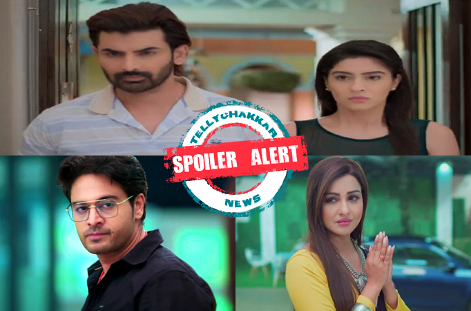 Spoiler Alert! Anupamaa: Anuj, Ankush and Barkha get evidence against Maya