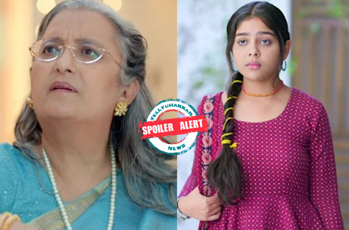 Spoiler Alert! Faltu: Dadi starts feeling suffocated, Faltu rushes to her aid