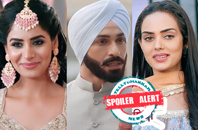 Spoiler Alert! Teri Meri Doriyaann: Seerat goes missing on her wedding day, Angad will marry Sahiba?