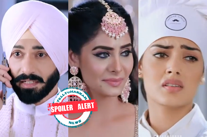 Spoiler Alert! Teri Meri Doriyaann: Angad confesses his love for Seerat, Sahiba reciprocates?