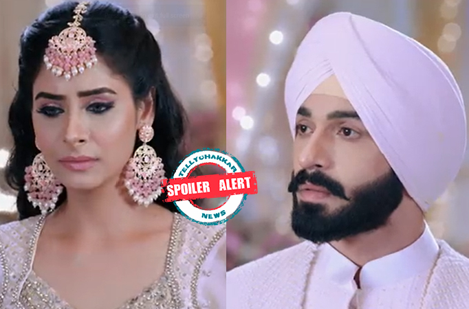 Spoiler Alert! Teri Meri Doriyaann: the wedding is preponed, Seerat and Angad to get married after 3 days