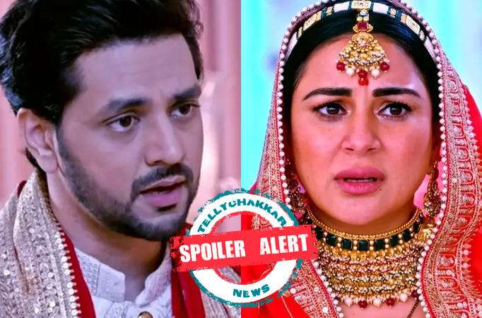 Spoiler Alert! Kundali Bhagya: Arjun claims he has always Loved Preeta, wishes to be with his family