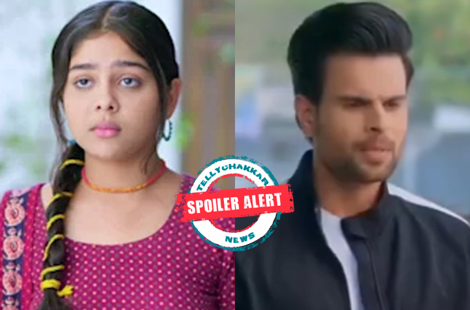 Spoiler Alert! Faltu: Faltu wants to enter the Mittal house, wants proof against Vishal