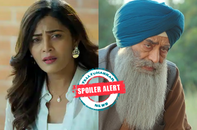 Spoiler Alert! Dil Diyaan Gallaan: Amrita confronts Dilpreet, he apologizes to her?