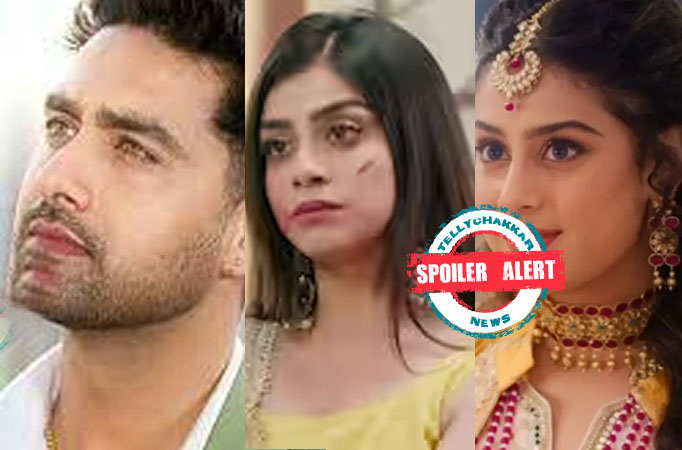 Spoiler Alert! Udaariyaan: Harleen tries to unite Nehmat and Ekam; Advait has some other plans 