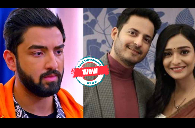 Bhagya Lakshmi: Wow! Vikrant and Lakshmi decide to get married; Rishi feels happy for Lakshmi 