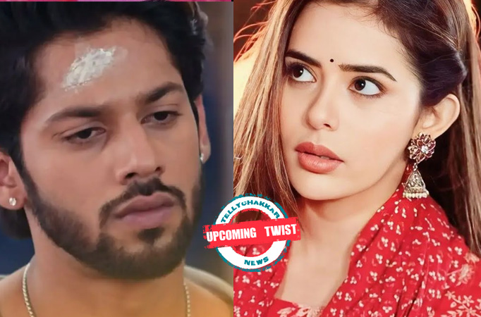 Kundali Bhagya: Upcoming Twist! Shaurya and Palki’s nok-jhok to increase, Palki enters the Luthra House