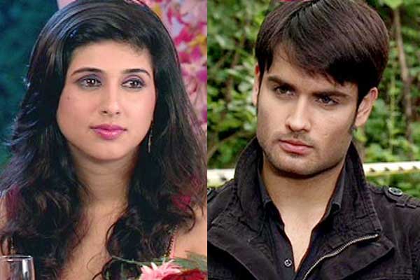 Vahbbiz Dorabjee and Vivian Dsena