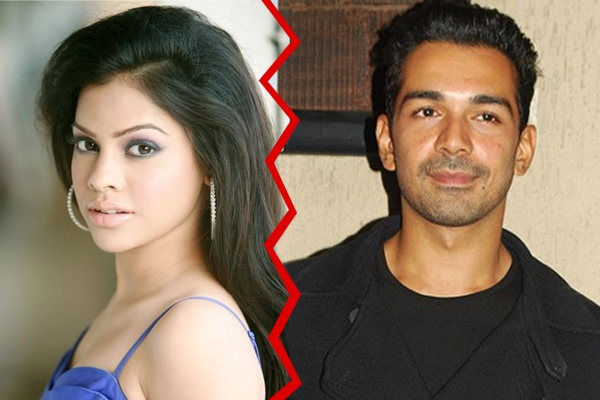 Sumona Chakravarti and Abhinav Shukla