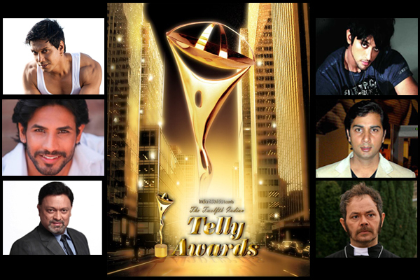 Twelfth Indian Telly Awards - Actor in a Negative Role 