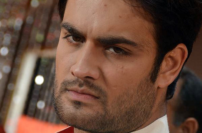 Vivian Dsena