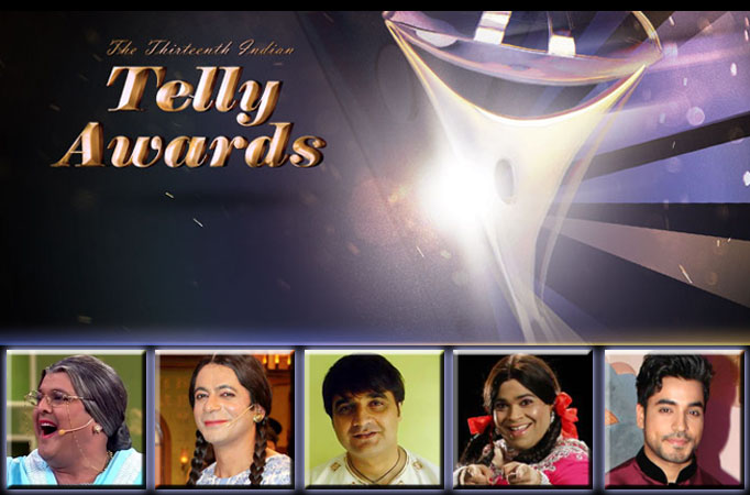 13th Indian Telly Awards: Best Actor in a Supporting Role Male (Comedy)