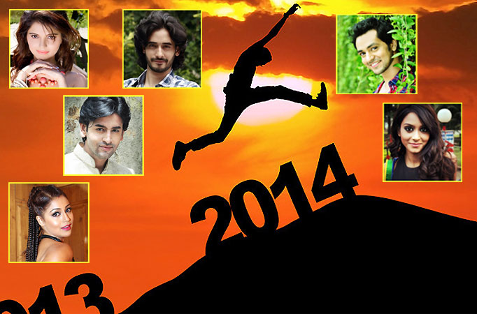 2014: The Year That Was for TV Stars