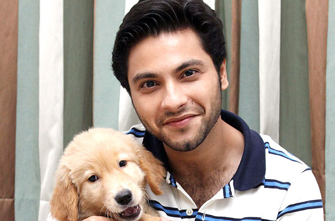 Mishal Raheja