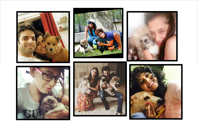 #NationalDogDay: TV actors and their LOVE for their pooches   