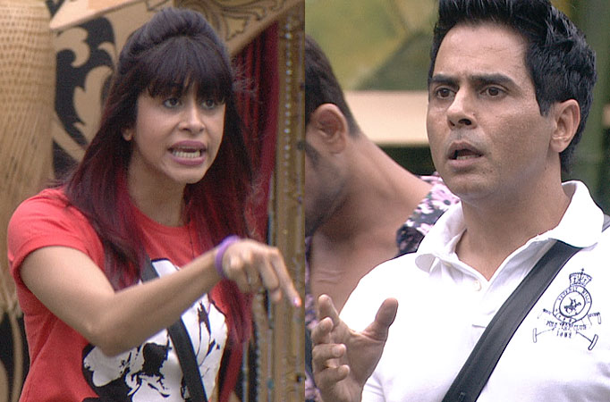 Kishwer Merchantt and Aman Verma