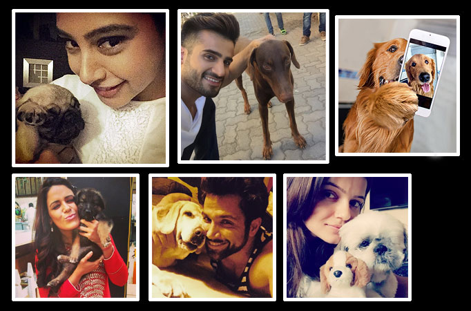 Insta love: #Petfies of TV Celebs