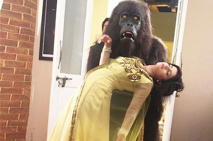 Thapki to find a new lover... in a Gorilla