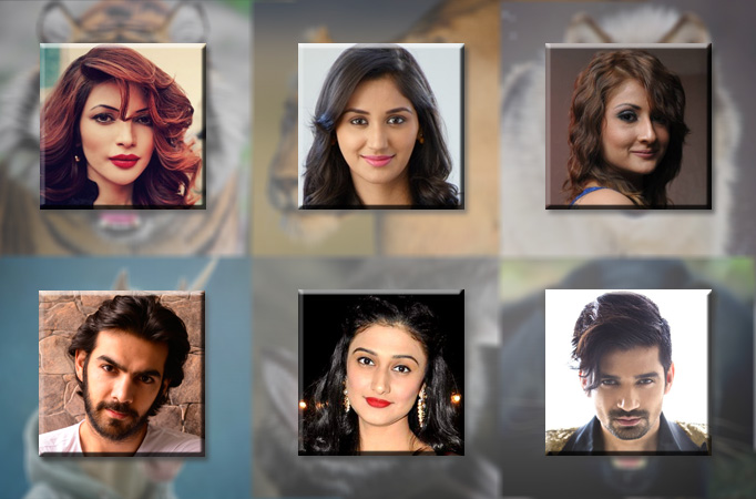 TV celebs chose their 'ichadhari' avatar