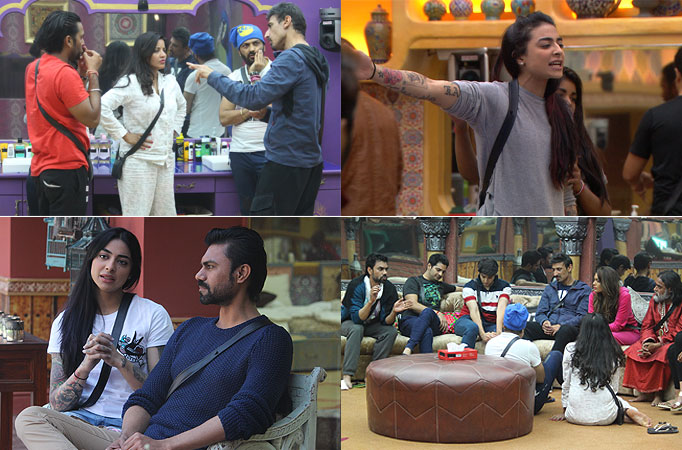 Bigg Boss 10: Synopsis Day 29