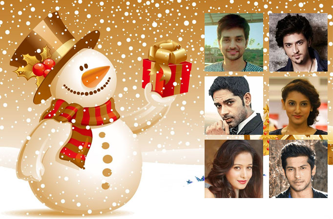 TV celebs and their Christmas plans