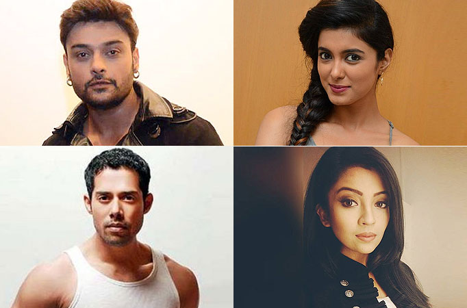 Amit Pachori, Richa Sony, Aarya, Barkha in Sony TV’s next