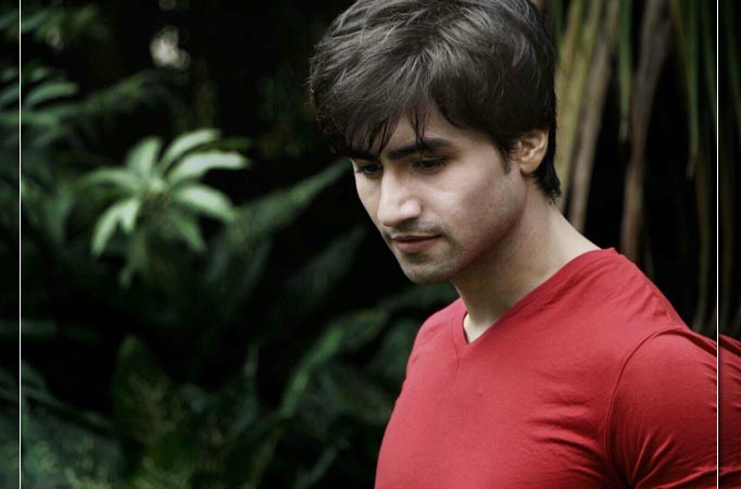 I don't like doing things half-heartedly: Harshad Chopda