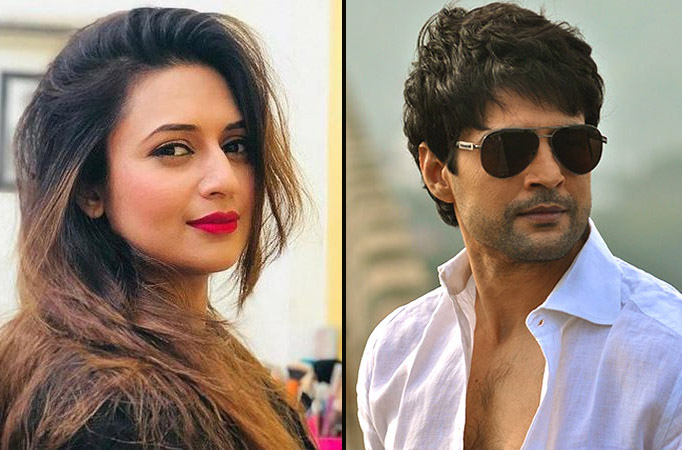 Rajeev Khandelwal to romance Divyanka Tripathi