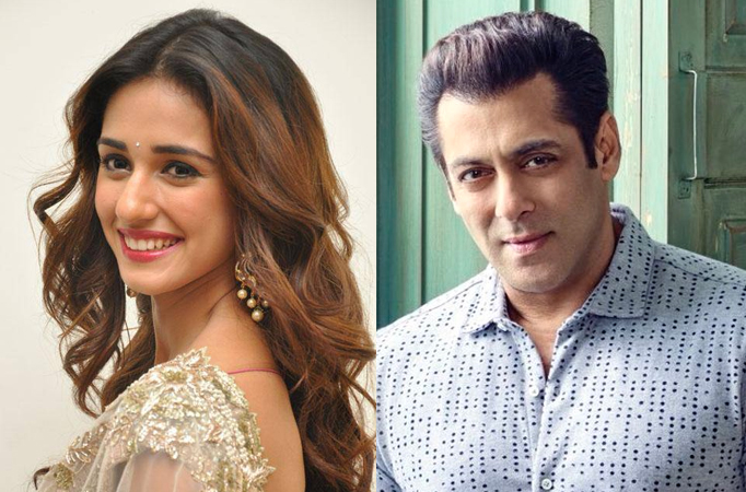 Disha Patani and Salman Khan