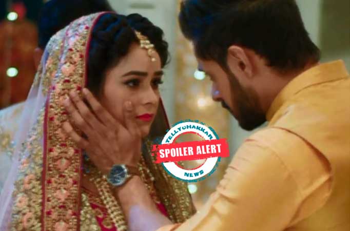 Elina and Amir’s friendship to turn into love in Ishq Subhan Allah