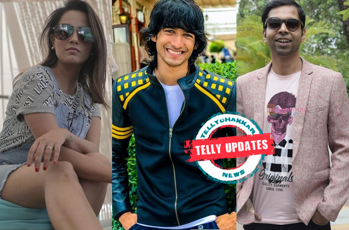 Telly Updates