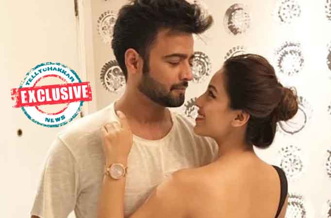 For now, I am not interested in ROMANTIC RELATIONSHIPS: Manish Naggdev after break-up with Srishty Rode