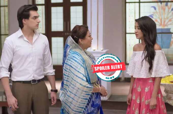 Dadi forces Kartik to divorce Naira in Yeh Rishta Kya Kehlata Hai