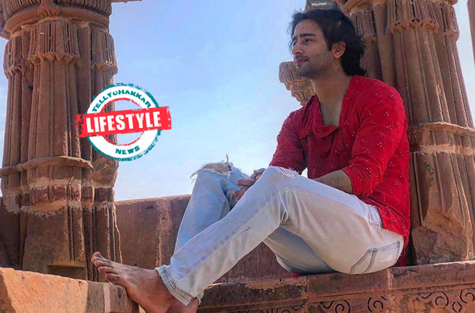 Yeh Rishtey Hai Pyaar Ke's Abeer aka Shaheer Sheikh loves FLIRTING with... 