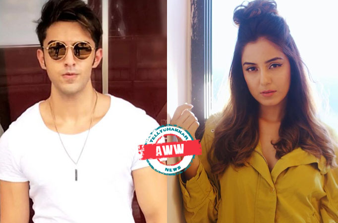 Is Rohit Suchanti's birthday wish for Srishty Rode HINTING TOWARDS their rumoured relationship?